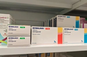 rybselsus on shelfs